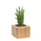 Planter Stand No. 2 1
